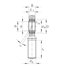 桿端軸承 GAR20-DO, 根據 DIN ISO 12 240-4 標準，帶右旋外螺紋，需維護