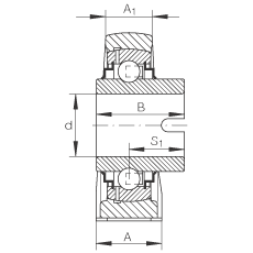 直立式軸承座單元 RASEL30-N, 鑄鐵軸承座，浮動(dòng)軸承，內(nèi)圈有驅(qū)動(dòng)槽，R 型密封